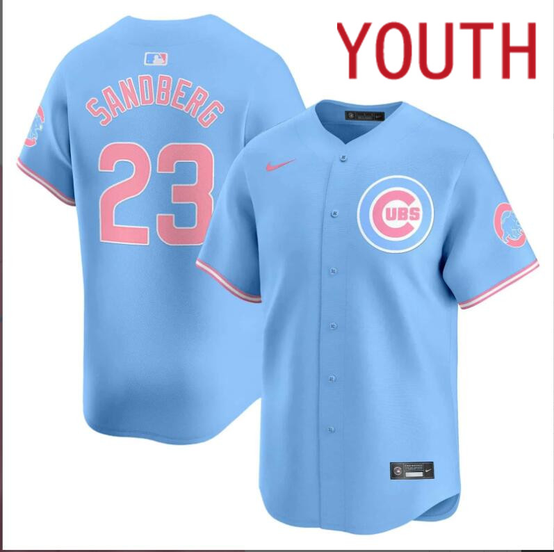 Youth Chicago Cubs #23 Sandberg blue 2024 Nike MLB jersey->youth nfl jersey->Youth Jersey